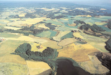 akershus_graasteinen10.jpg